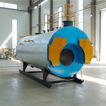 Caldera de vapor sèrie WNS